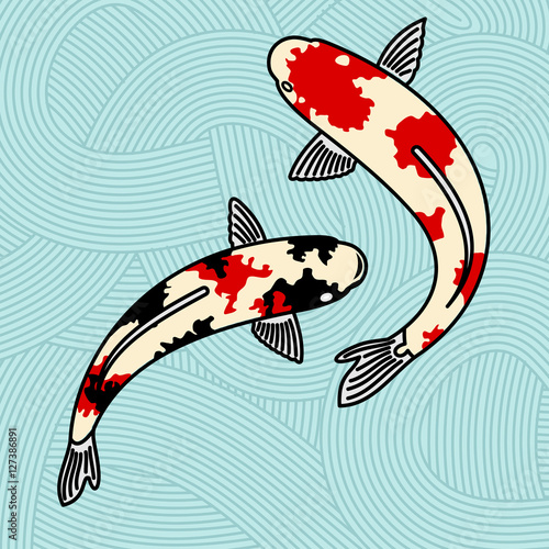Vector illustration Japanese carps