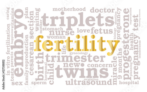 Fertility. Word cloud, golden font, white background. The miracle of birth.