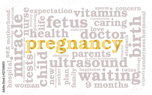 Pregnancy. Word cloud, golden font, white background. The miracle of birth.