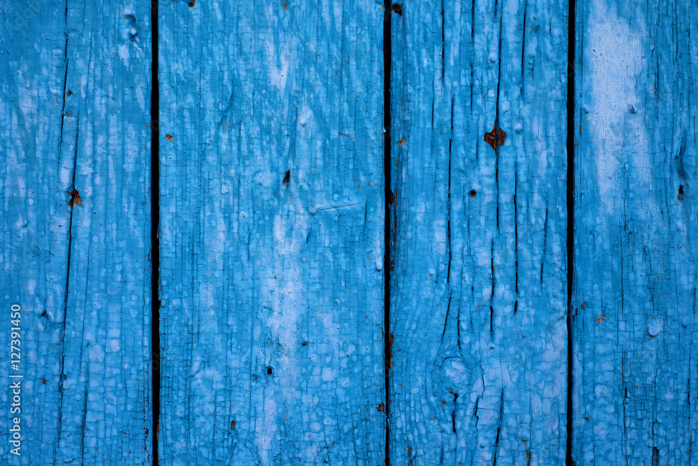 blotch wood blue blotch wood blue