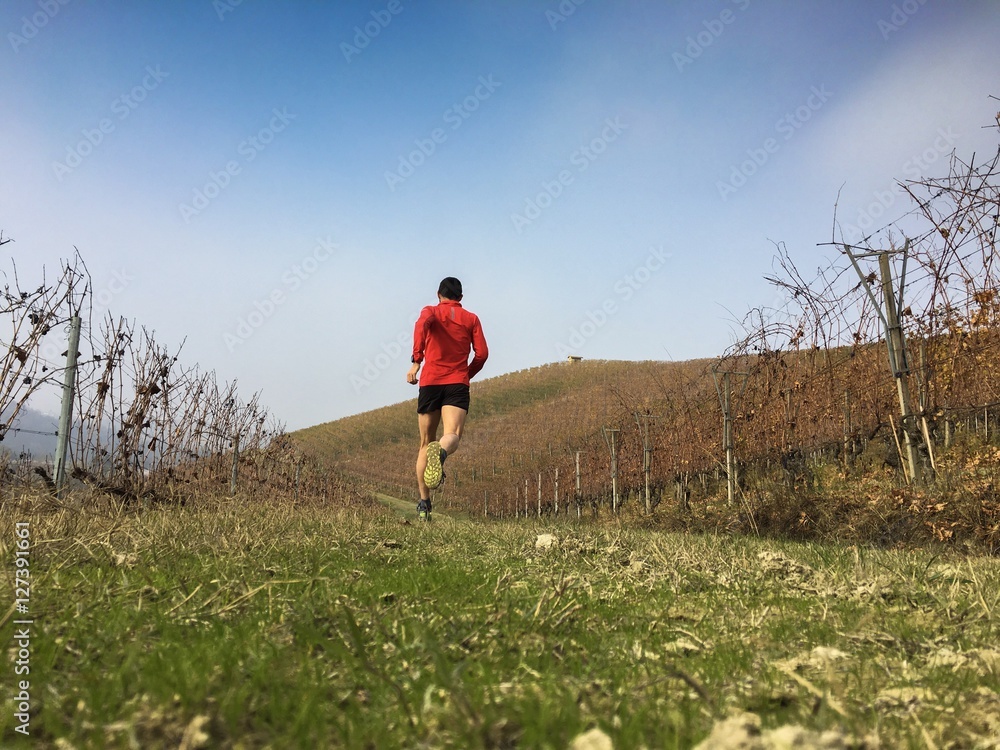  Man running in the vineyards in autumn