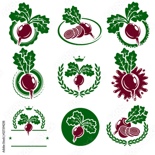 Beet labels and elements set. Vector