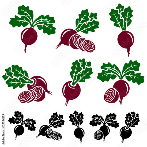 Beet labels and elements set. Vector