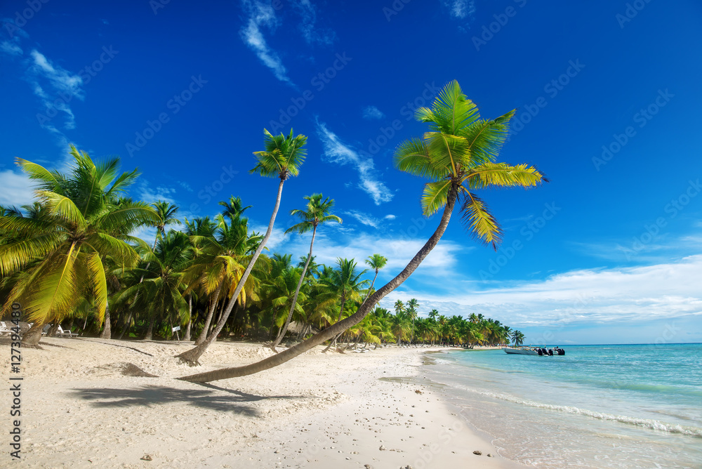 Obraz premium beach on Saona Island in the Caribbean