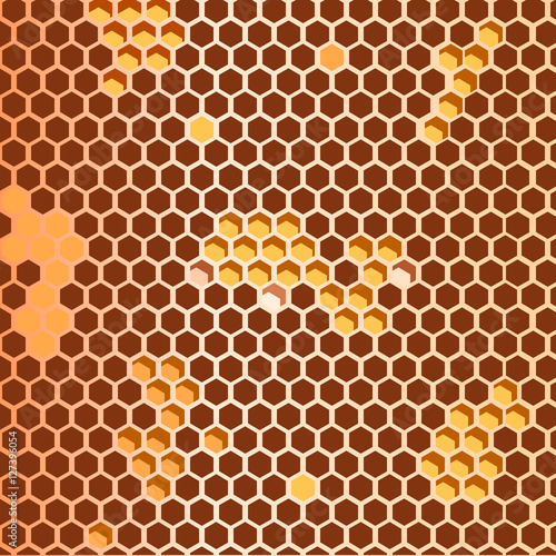 пчелиные соты, векторная иллюстрация