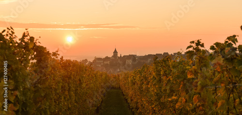 The Village of Zellenberg at sunrise,Alsace vineyard, France