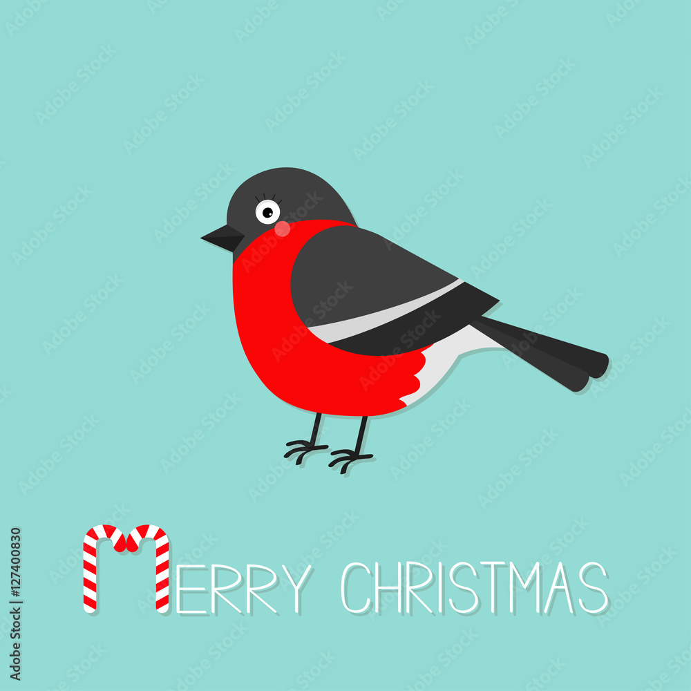 Fototapeta premium Bullfinch winter red feather bird. Merry Christmas greeting card. Candy cane text. Cute cartoon funny character. Baby collection. Flat design. Isolated. Blue background.
