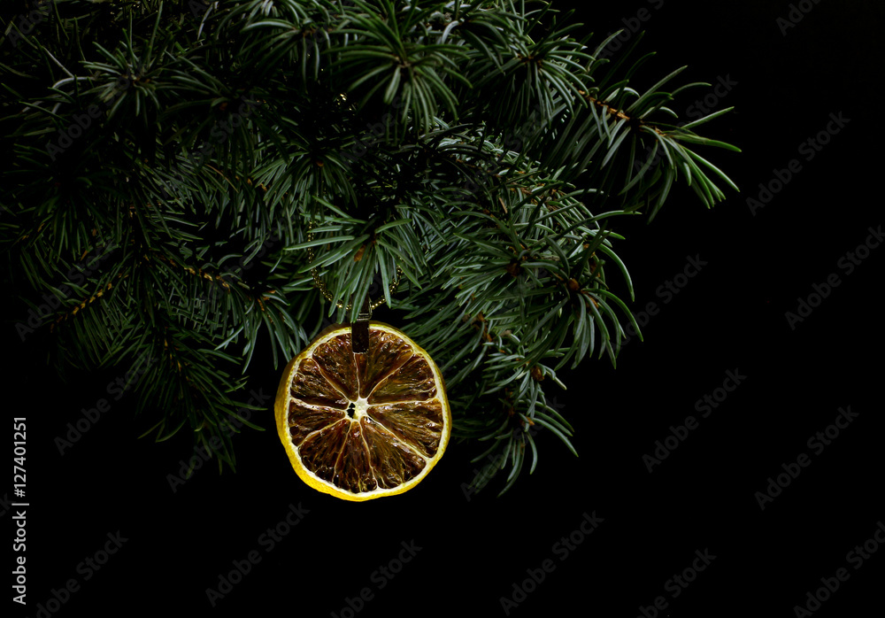 Fir tree branch isolated on black background with gold thread and a pin holds a dry slice of orange or grapefruit in top frame corner. New Year and Christmas blank template. Copyspace place for text. Fir tree branch isolated on black background with gold thread and a pin holds a dry slice of orange or grapefruit in top frame corner. New Year and Christmas blank template. Copyspace place for text.
