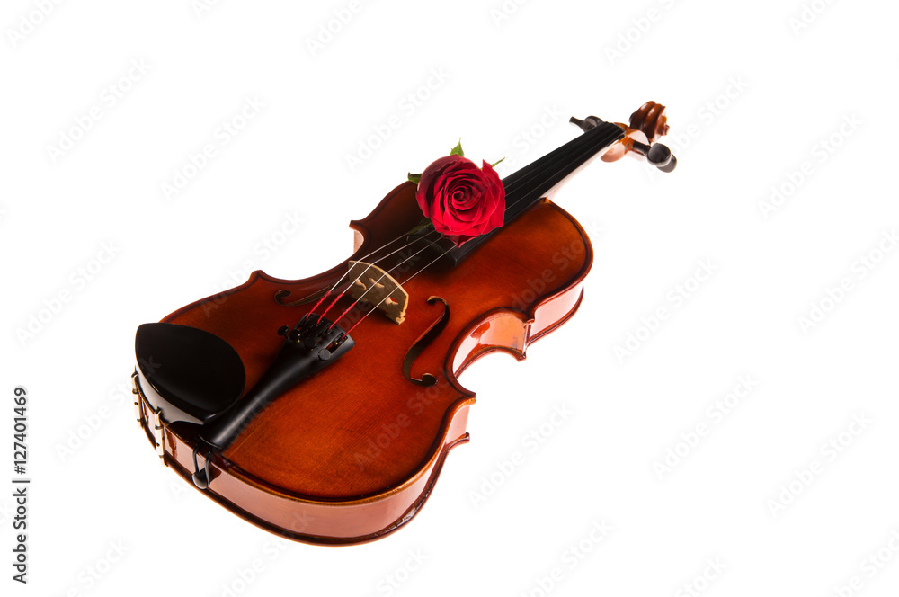 Fototapeta premium violin , Violin orchestra musical instruments