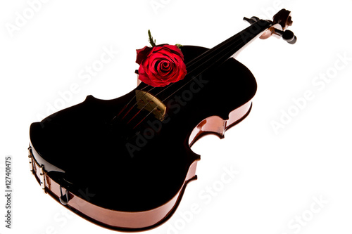 violin , Violin orchestra musical instruments 