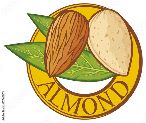 almond nut with leaves label (symbol)