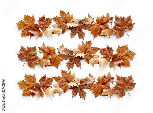 autumn leaves background