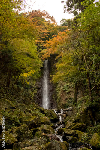 Water Falling at Yoro Waterfall in Gifu  Japan  November  2016