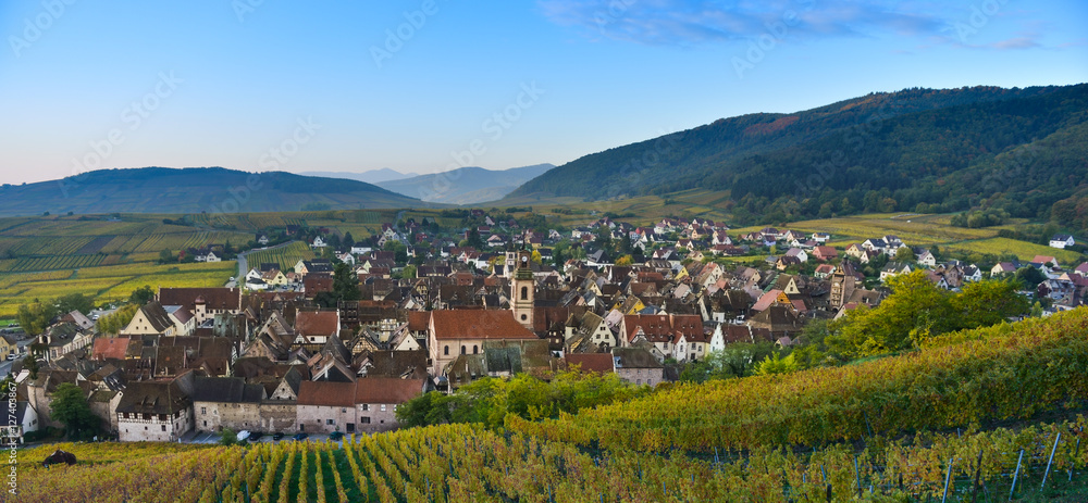 Alsace village, with vineyard, Riquewhir. France