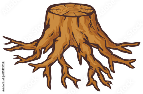 old tree stump with roots