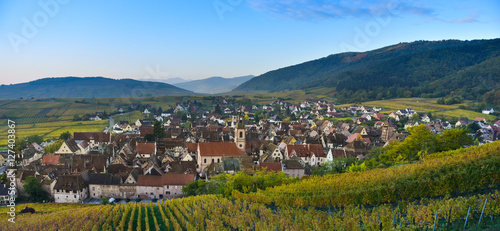 Alsace village, with vineyard, Riquewhir. France