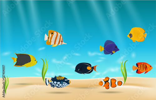 Saltwater aquarium fish, exotic fish in water