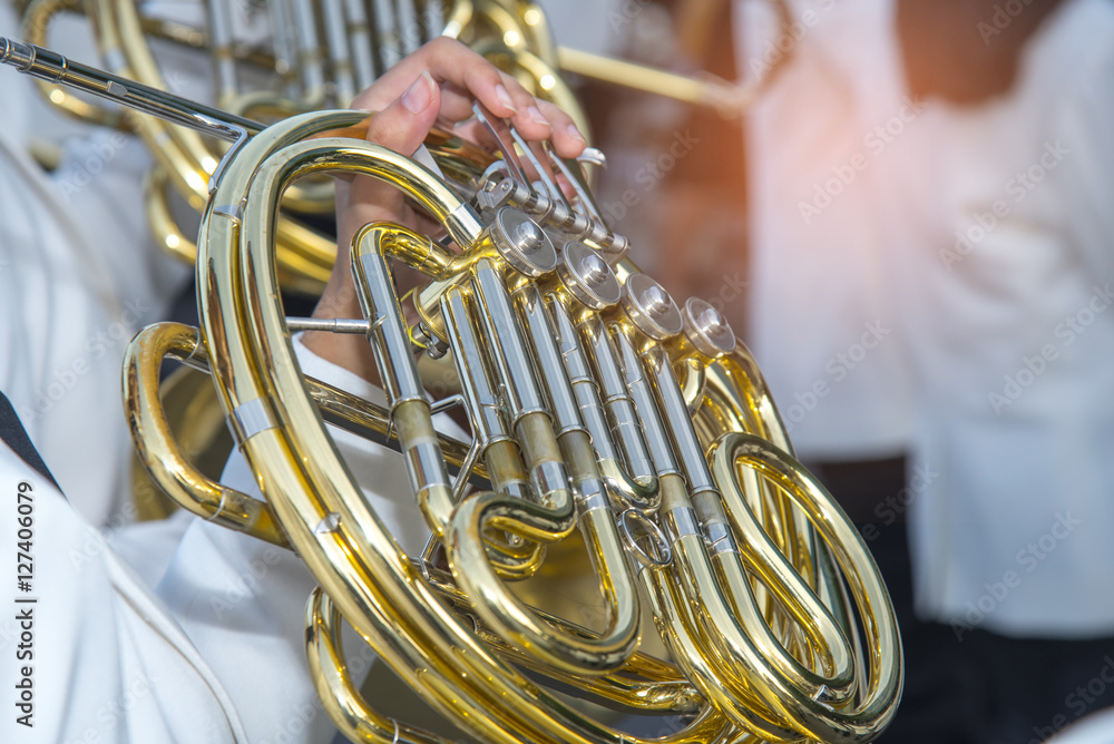 Fototapeta premium A girl playing tuba on footpath , Marching Band
