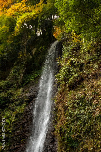 Water Falling at Yoro Waterfall in Gifu, Japan, November, 2016