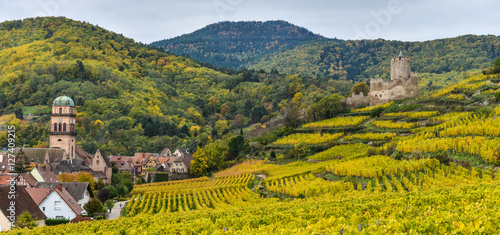 Vineyard and townscape Kaysersberg, Alsace in France photo