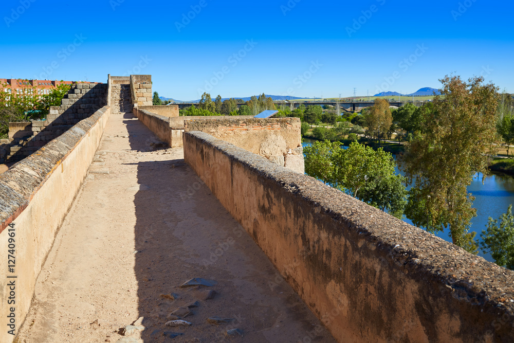 Merida Alcazaba in Spain Badajoz Extremadura