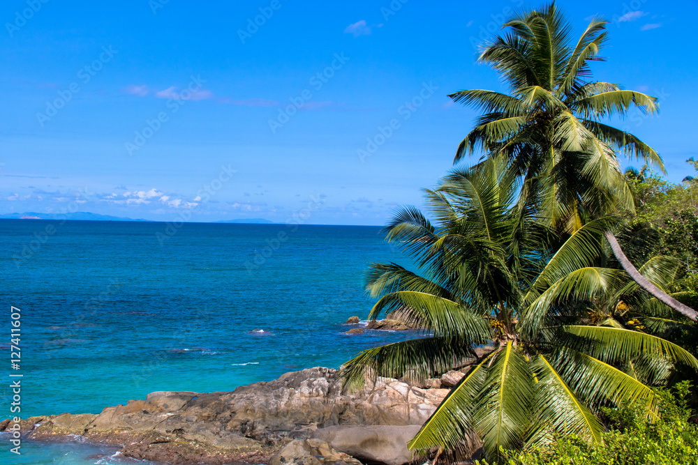 Palmenstrand, Mahe Seychellen
