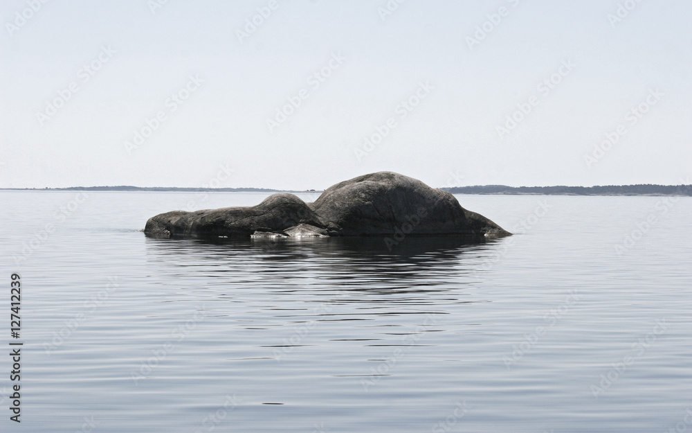 Fototapeta premium Rock in the Sea