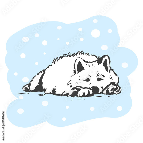 White dog lying in the snow