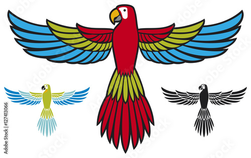 flying parrot wings spread
