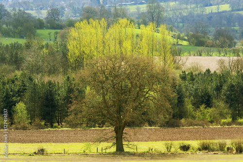  field photo