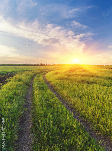 Summer landscape with green grass