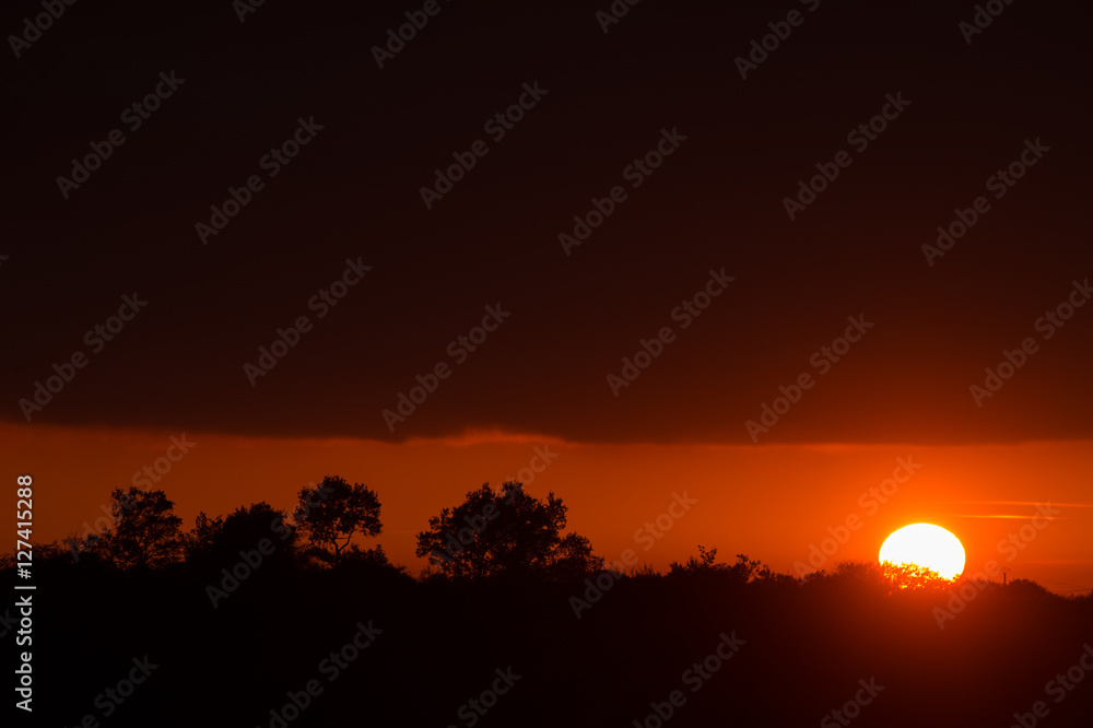 Panorama of Amazing Beautiful Sunset Sunrise Over Dark Landscape Silhouette Panorama of Amazing Beautiful Sunset Sunrise Over Dark Landscape Silhouette