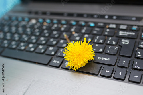 цветок на клавиатуре
