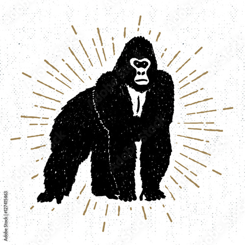 Hand drawn icon with textured gorilla vector illustration