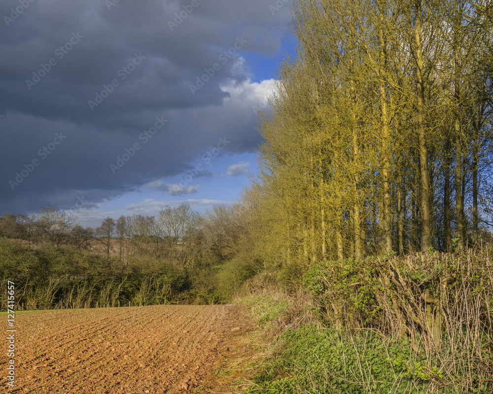 generic typical english countryside generic typical english countryside