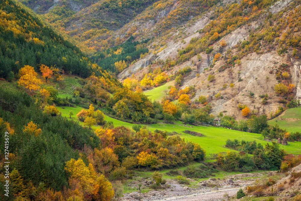Golden autumn /
Amazing autumn view of a mountain meadow in Rhodope Mountains, Bulgaria