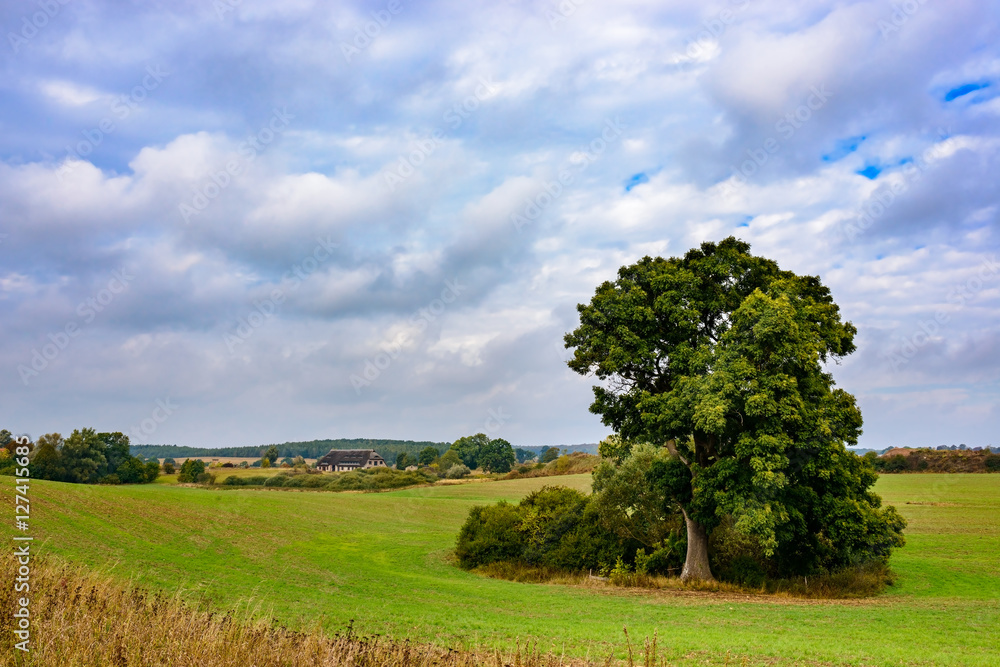 Wiese mit Bauminsel und Gehöft am Müritz-Nationalparkweg bei Kargow