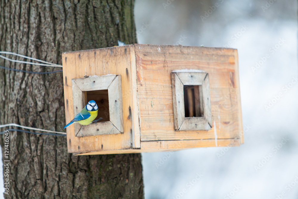 bird feeders. tree house for the birds.  Bird feeder in winter p