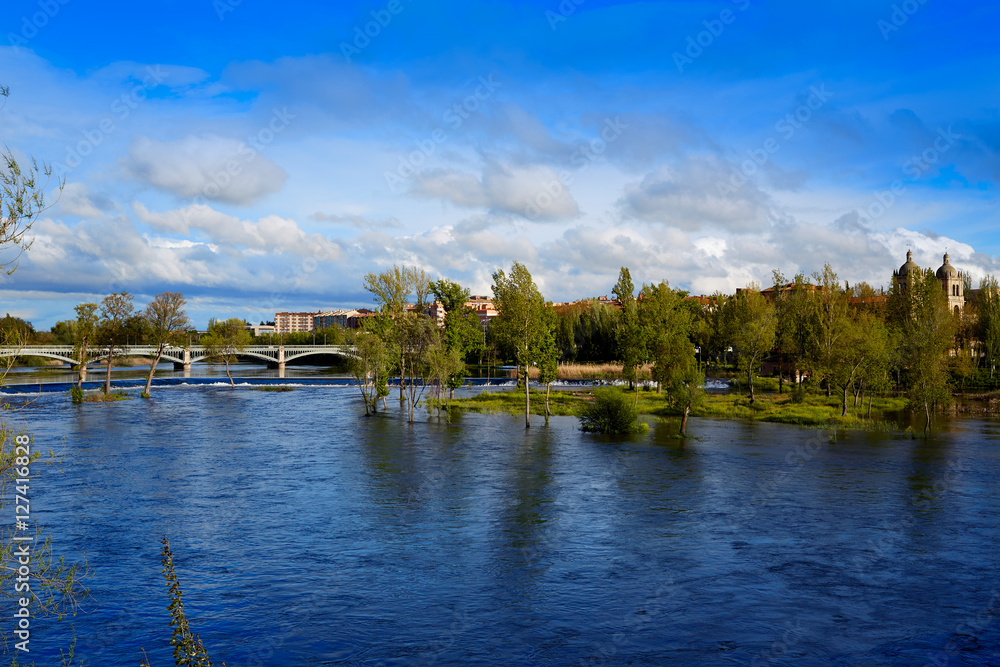 Fototapeta premium Salamanca Tormes river in Spain
