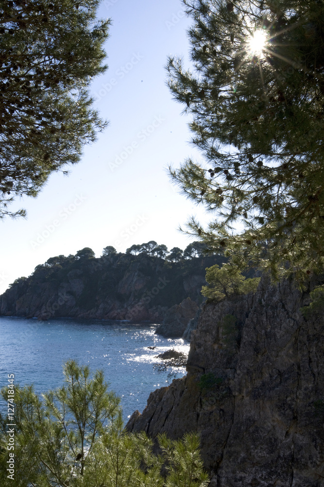 Costa Brava en la zona de Calella de palafrugell girona cataluña España Mediterraneo