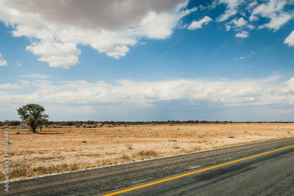 Kalahari Desert Road