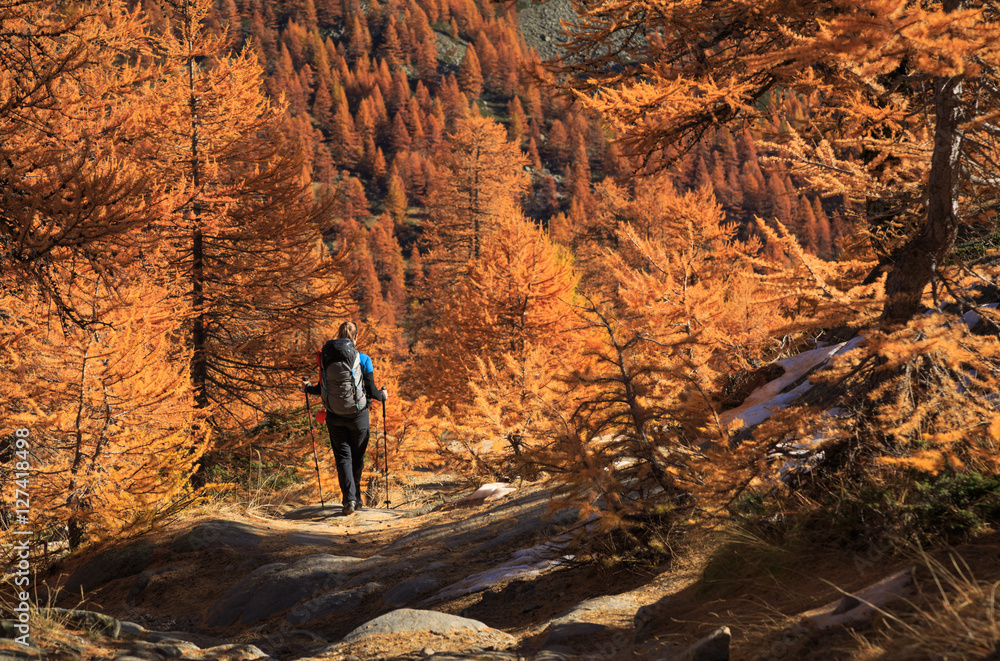 Obraz premium Female hiker walking in the warm autumn colors of the Claree valley, France.