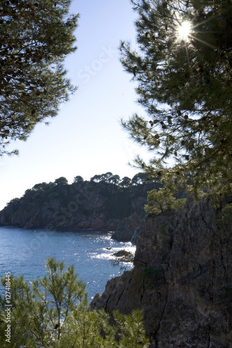 Costa Brava en la zona de Calella de palafrugell girona cataluña España Mediterraneo