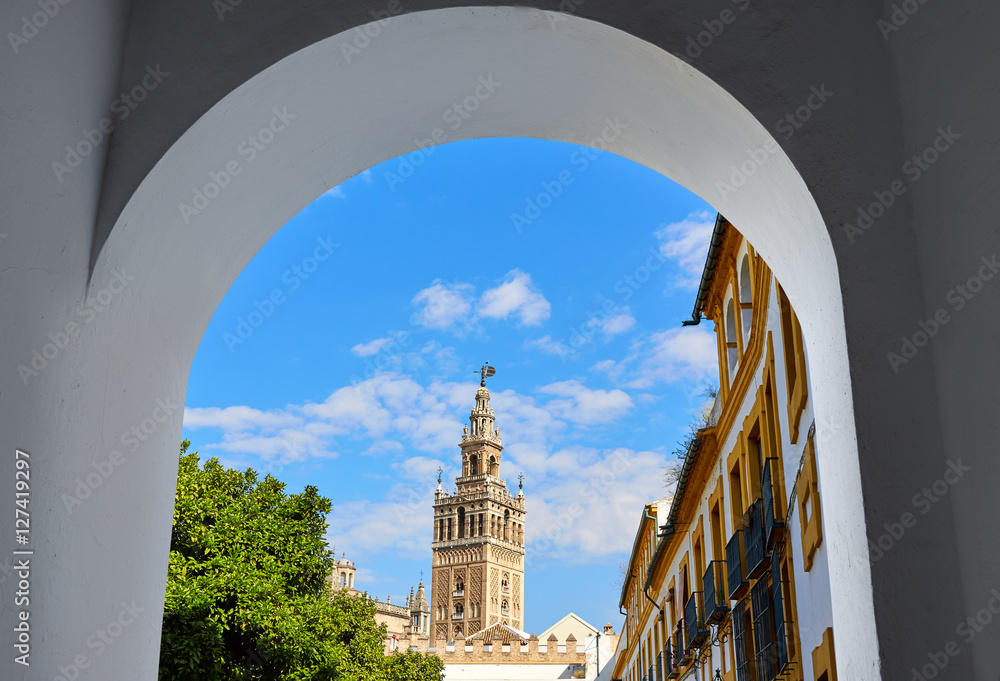 Naklejka premium Seville cathedral Giralda tower from Alcazar