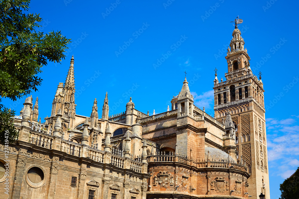 Seville cathedral Giralda tower Sevilla Spain