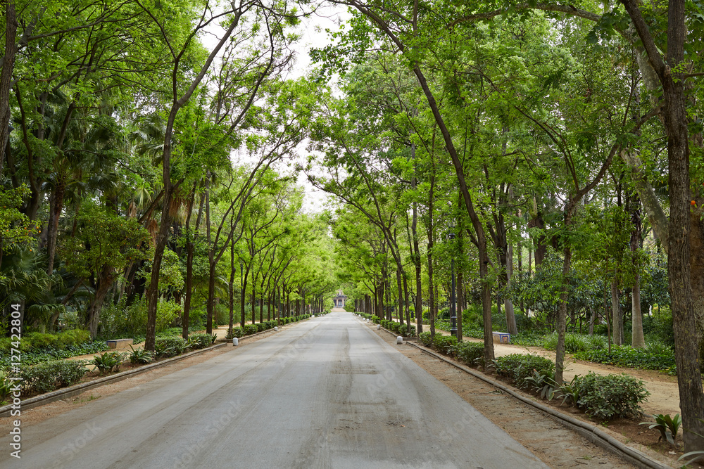 seville maria luisa park gardens spain seville maria luisa park gardens spain