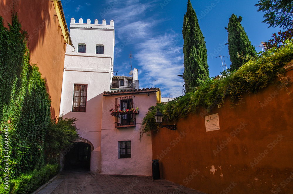 Fototapeta premium siviglia