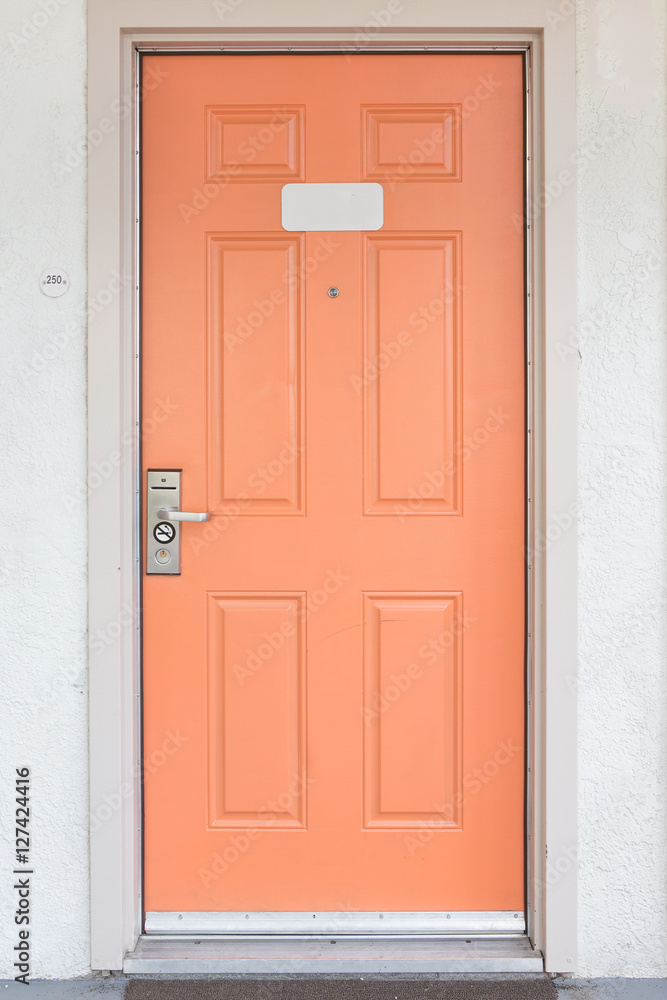 Door with handle, lock and viewer