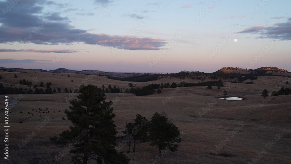Fototapeta premium Custer State Park Moonrise