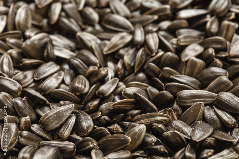sunflower seeds, background, black sunflower seeds, dried sunflower seeds sunflower seeds, background, black sunflower seeds, dried sunflower seeds